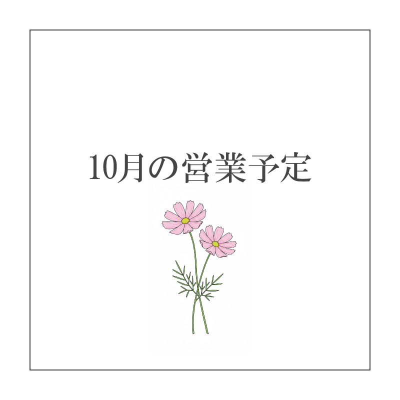 NEWSイメージ