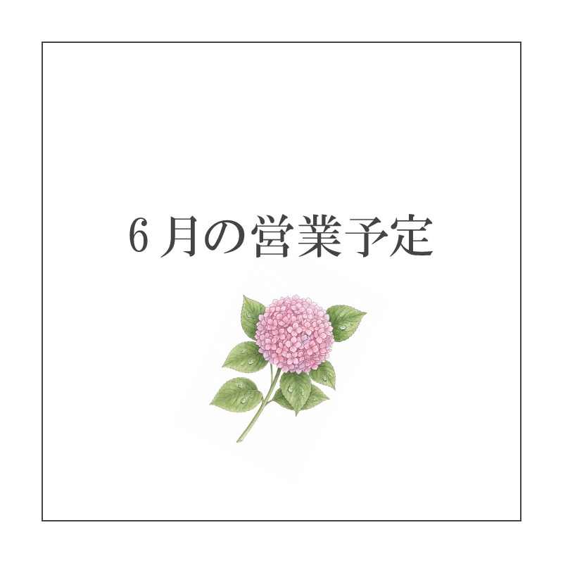 NEWSイメージ